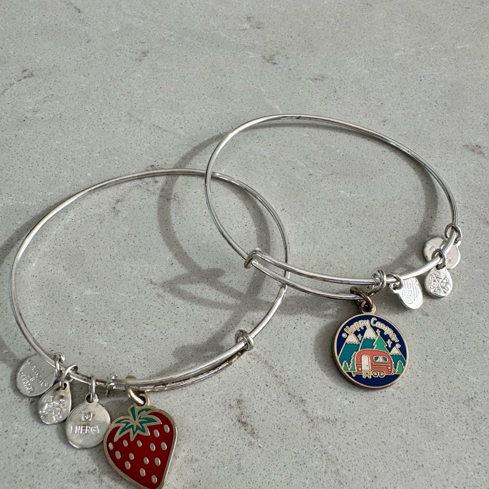 Alex and Ani Charm Bracelets Bundle – Set of 2